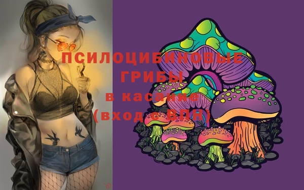 бутират Алексеевка